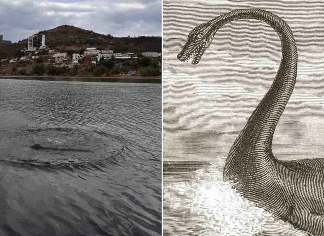 Reportan monstruo o dinosaurio en Presa Madín de Atizapán