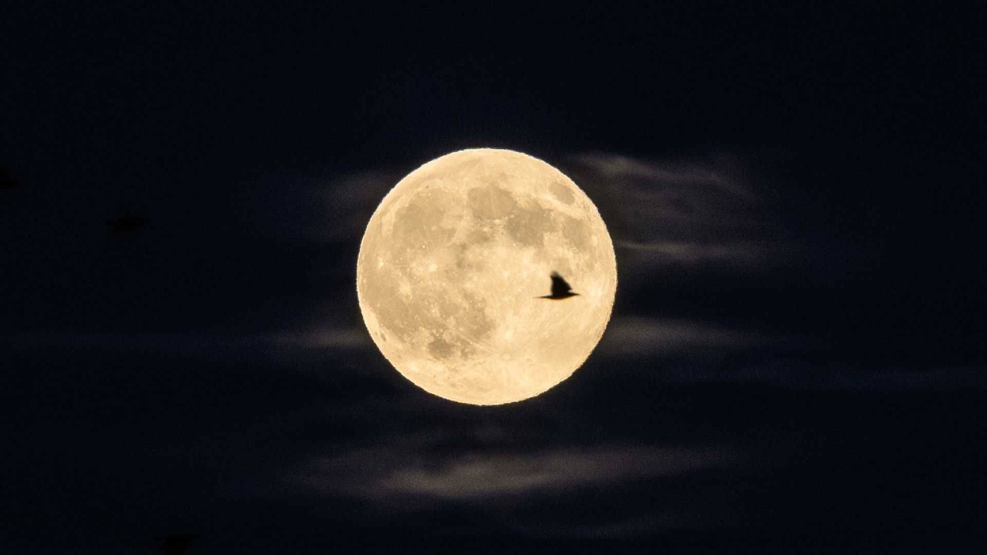 ¿Cómo tomar mejores fotos de la superluna del 4 de diciembre?