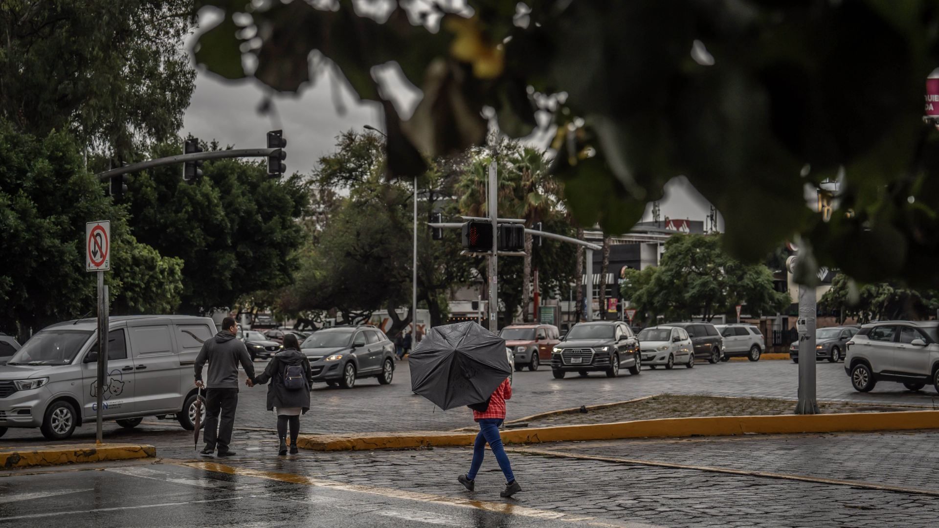 Pronóstico del Tiempo del Lunes 8 de Diciembre de 2025: ¿En qué Estados Lloverá Fuerte?