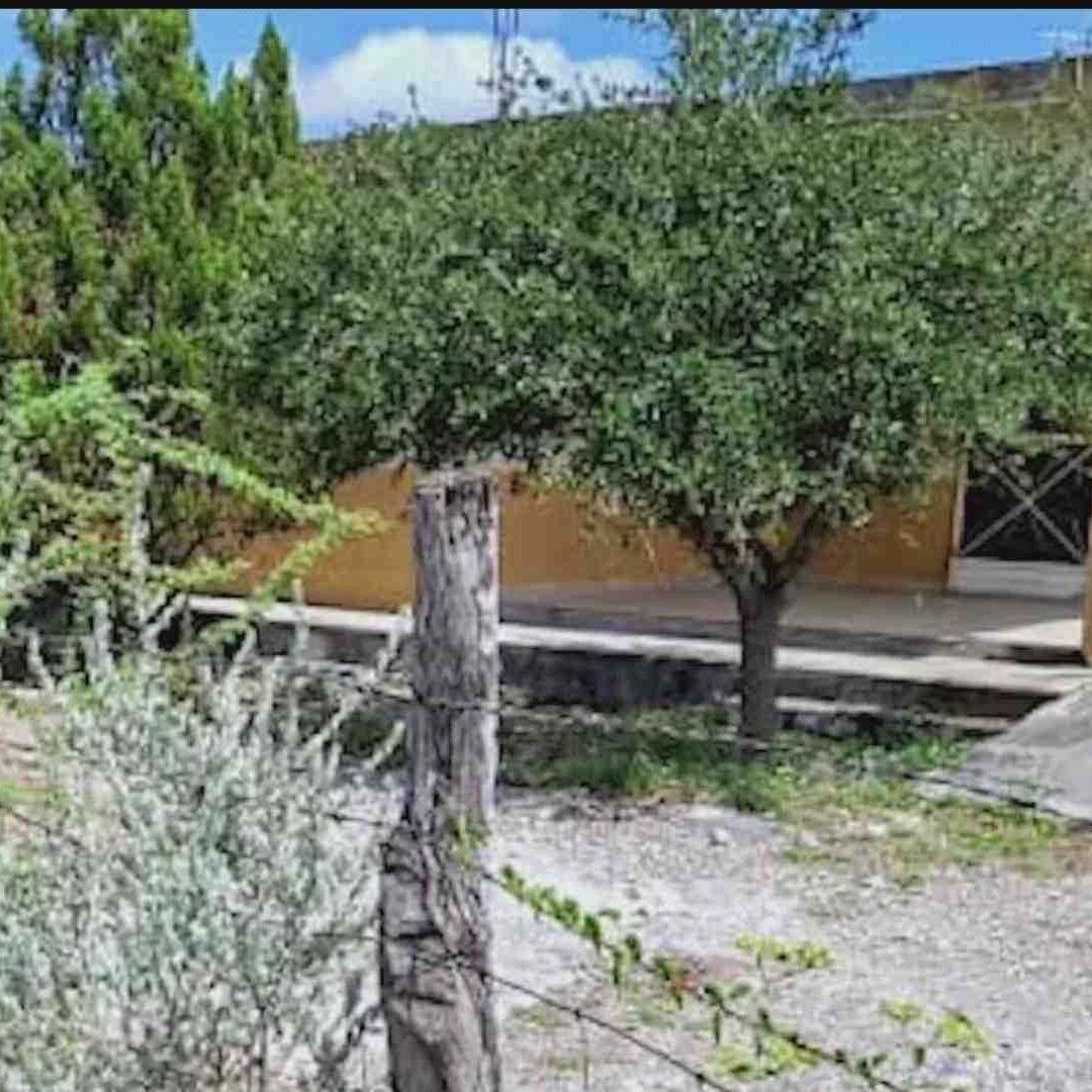 Los Ramones, Nuevo León