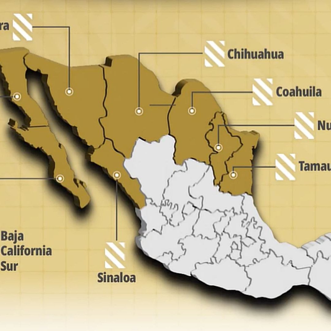 El operativo Frontera Norte inició en febrero 2025. Foto: X @GabSeguridadMX