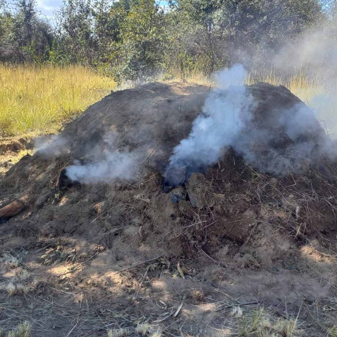 Profepa Desmantela Hornos de Carbón Vegatal con Tala de Madera Clandestina en Volcán La Malinche Tlaxcala