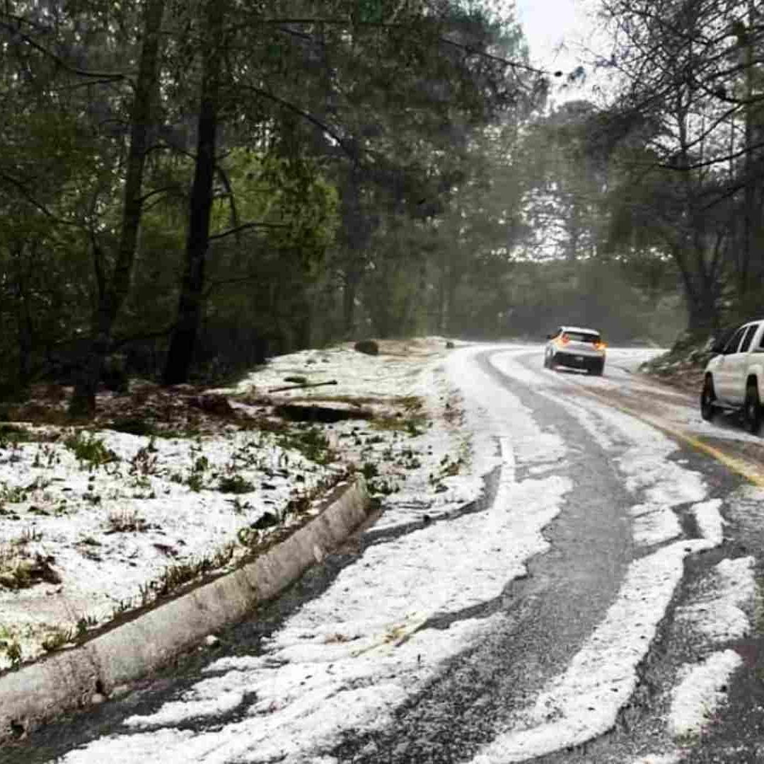 Granizada tapiza de blanco Sierra de Juárez, Oaxaca