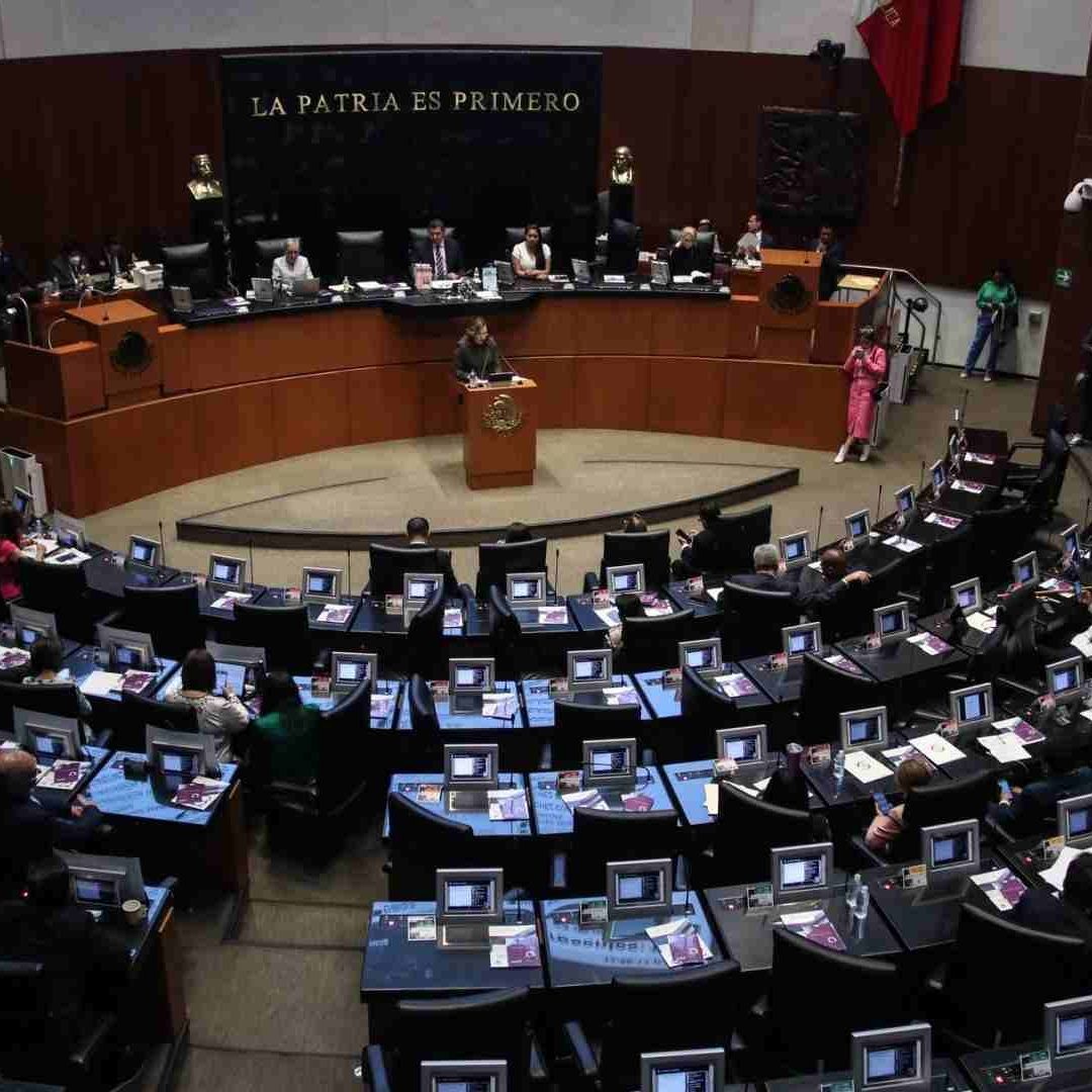 Sin Examen: Senado Elige 10 Nuevos Candidatos para el INAI