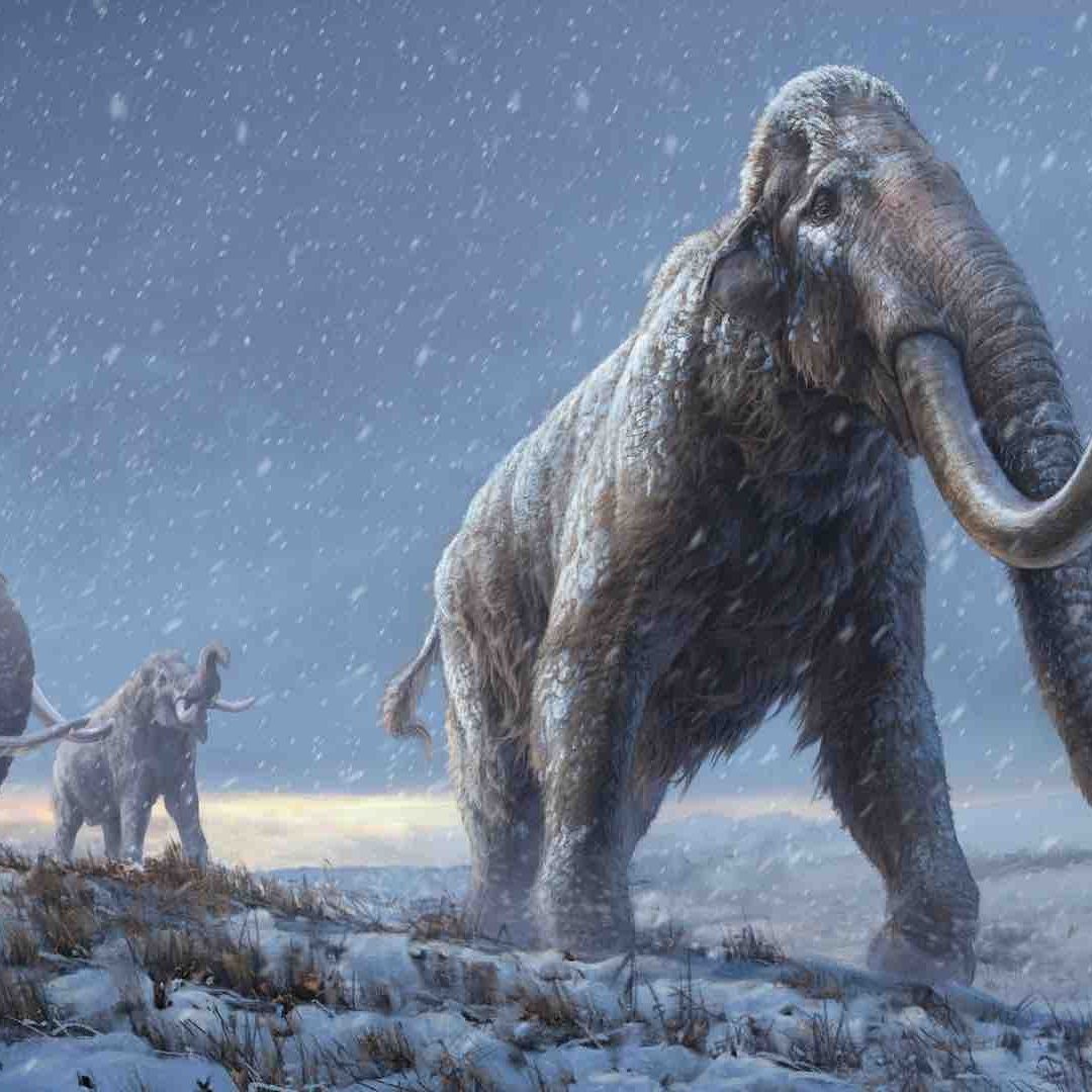 Ilustración de mamuts durante una nevada