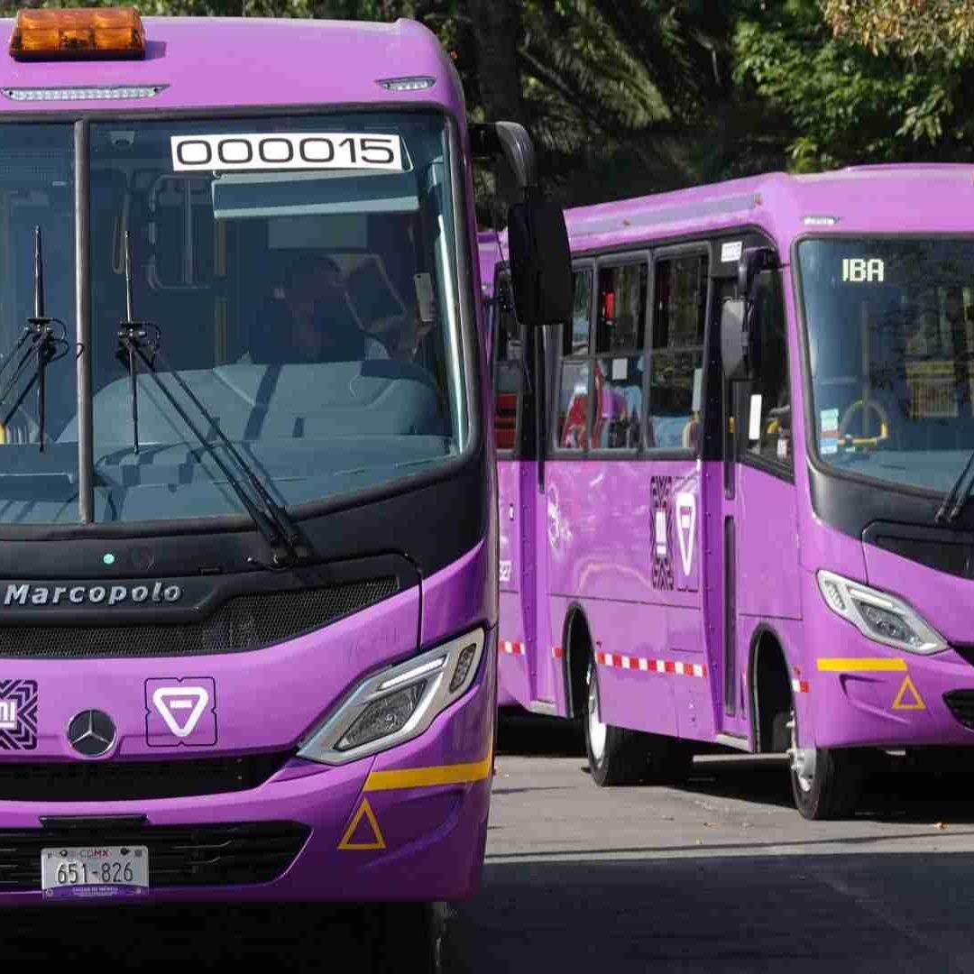 Los nuevos camiones morados de la CDMX costarán 8 pesos sin importar la ruta del recorrido