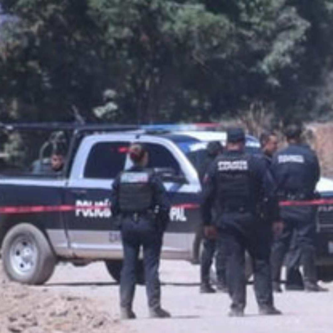 Jalisco: Hallan a bebé junto a sus padres asesinados en Zapopan