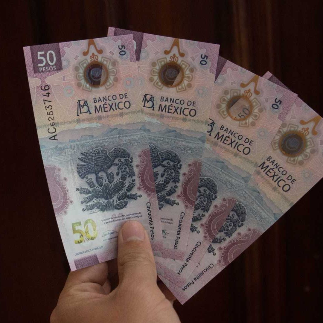 Reparto de Utilidades: ¿Cuál es la multa por no pagarlas?