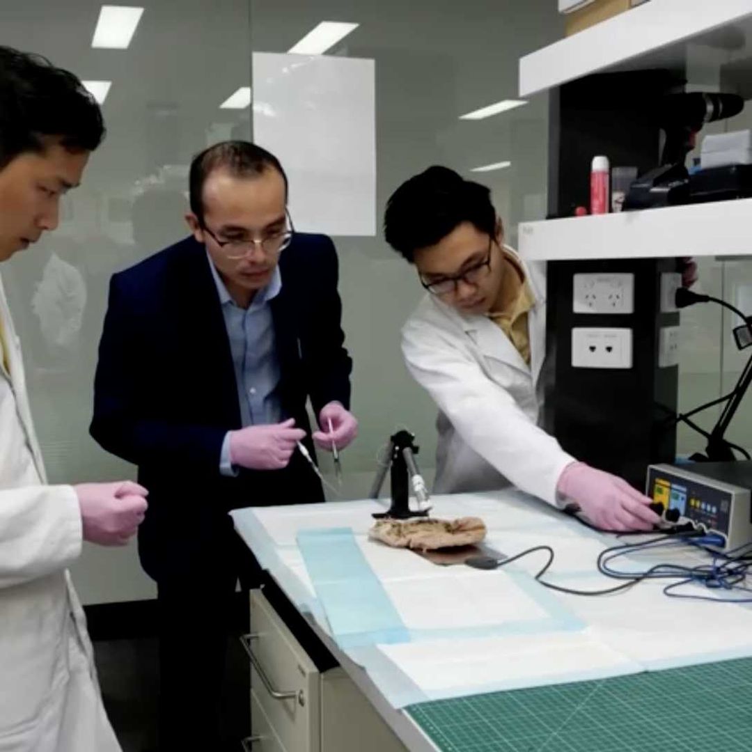 Ingenieros manipulando prototipo de bioimpresora 3D