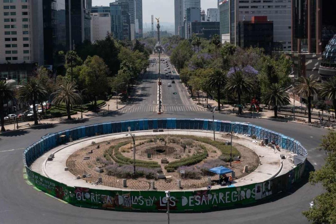 Sedema: Nuevo ahuehuete será colocado a finales de abril