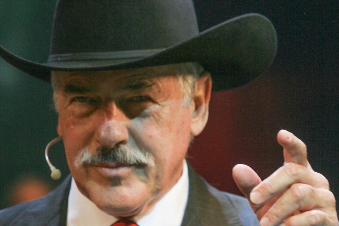 El actor Andrés García en 2010