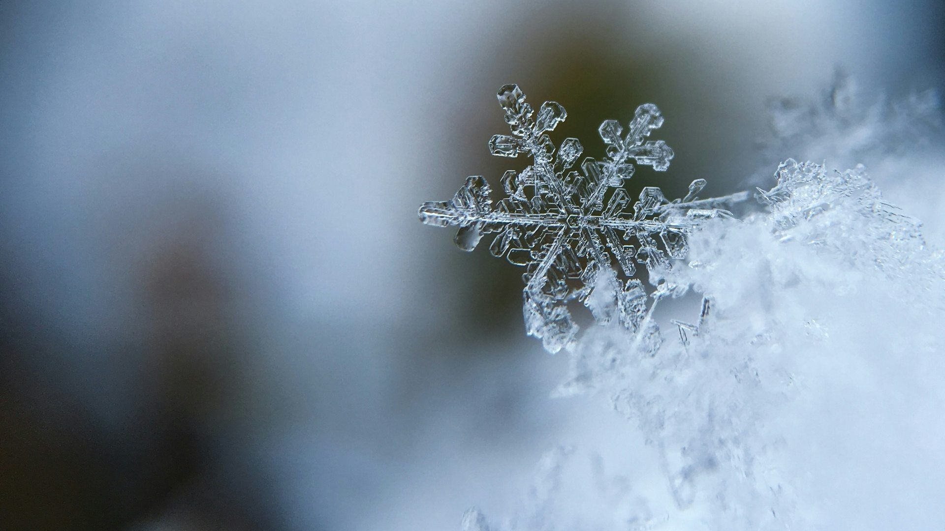 Invierno 2025