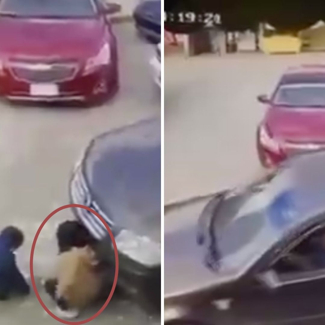 Se Salvó de Milagro: Niña de 4 Años Sobrevive Luego de Ser Aplastada por Auto en Chiapas