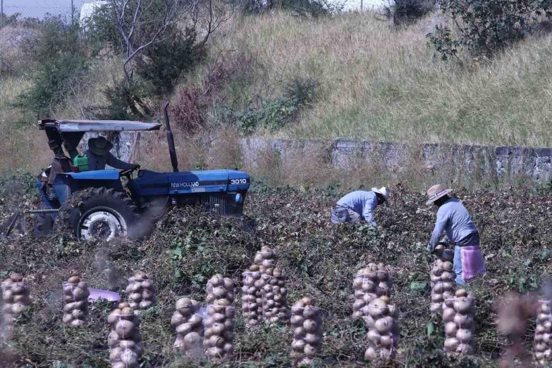 AMLO Envía Iniciativa Para Desaparecer Financiera Nacional de Desarrollo