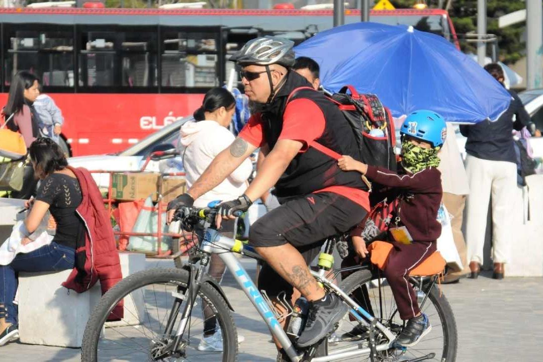 CDMX: ¿Cómo tramitar el certificado de no deudor alimenticio?
