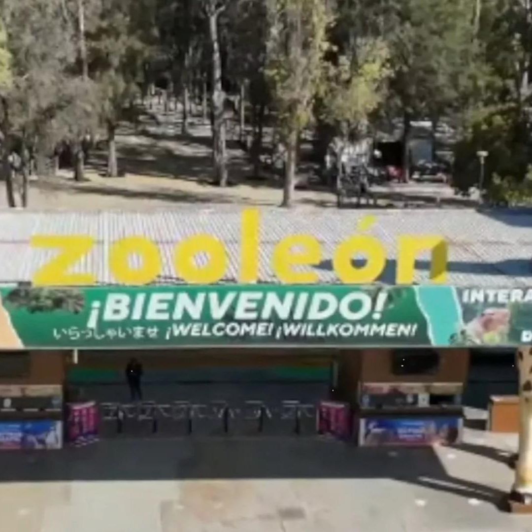 Zoológico de León Cierra Profepa Realizara Proceso de Verificación I N+ Bajío