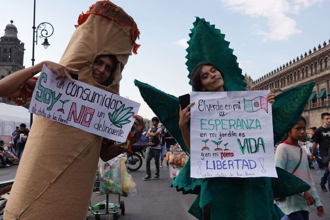 Existen varias teorías en torno al origen de la expresión 4/20 y su simbolismo con el consumo de marihuana
