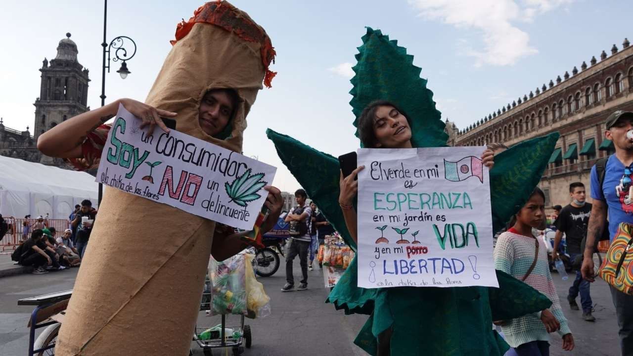 Existen varias teorías en torno al origen de la expresión 4/20 y su simbolismo con el consumo de marihuana