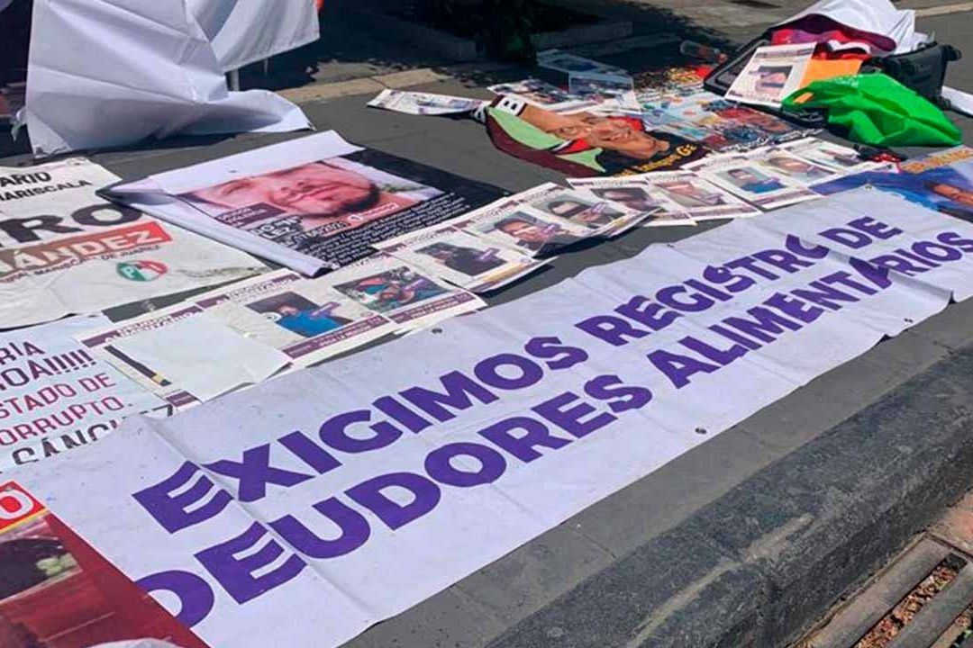 Piden reforma a la ley local para sancionar a deudores alimentarios