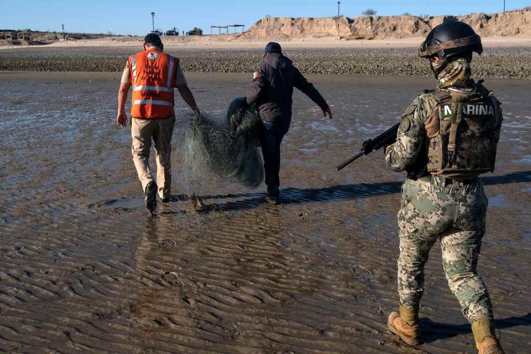 La Marina y la ONG Sea Shepherd trabajaron en la “Operación Milagro”, la cual liberó de redes de pesca ilegal la zona de la vaquita marina