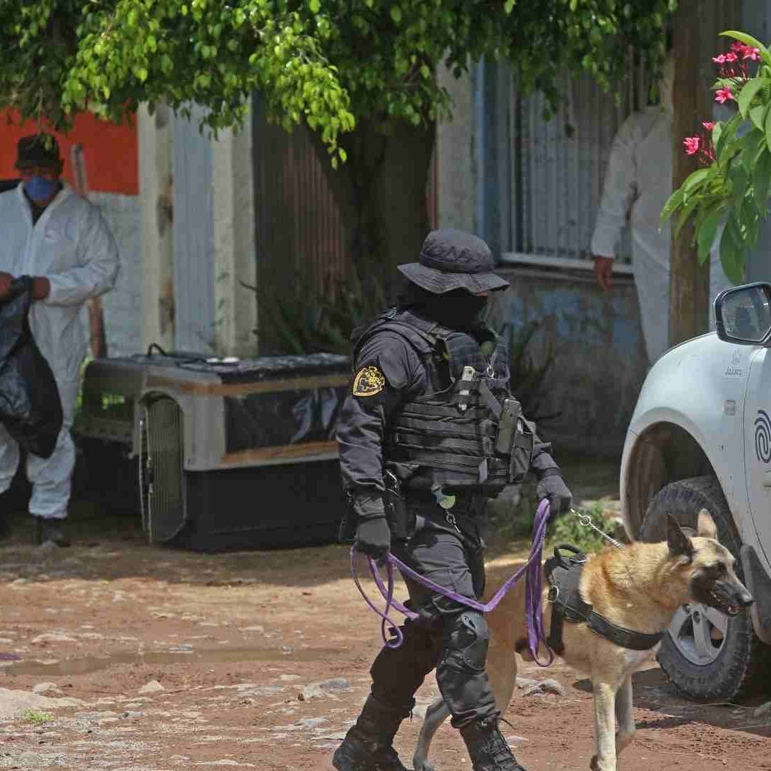 Fosas clandestinas en Jalisco