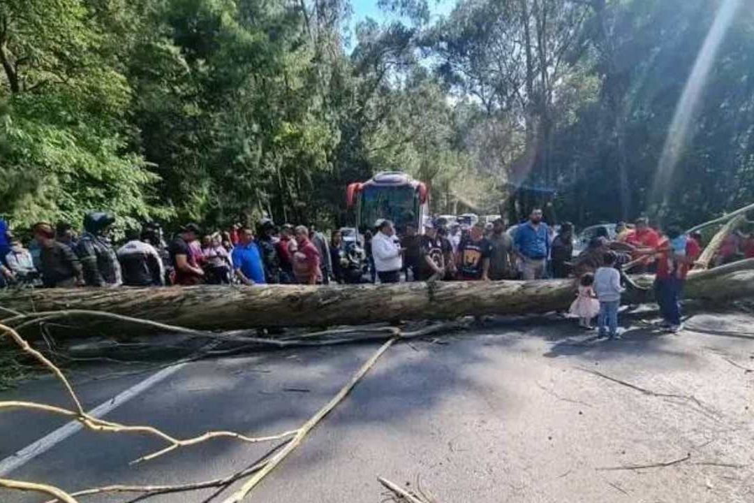 Caída de Árbol Sobre la México-Toluca Provoca Caos Víal