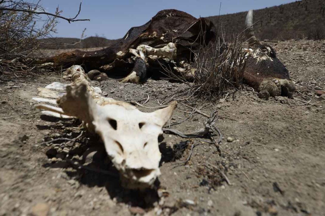 Especialistas advierten que México podría no estar preparado para fenómenos climáticos