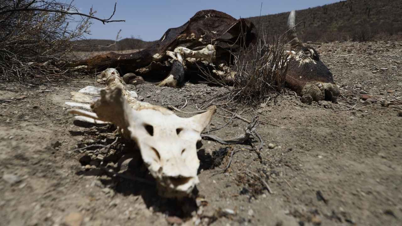 Especialistas advierten que México podría no estar preparado para fenómenos climáticos