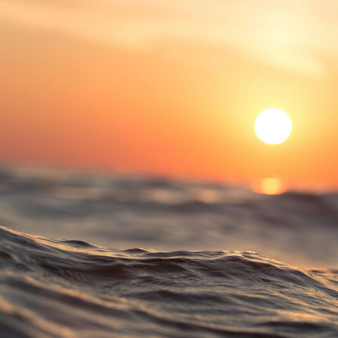 Lista de Playas no Aptas para Vacacionar en México Este Invierno 2025; Hay Dos de Sonora