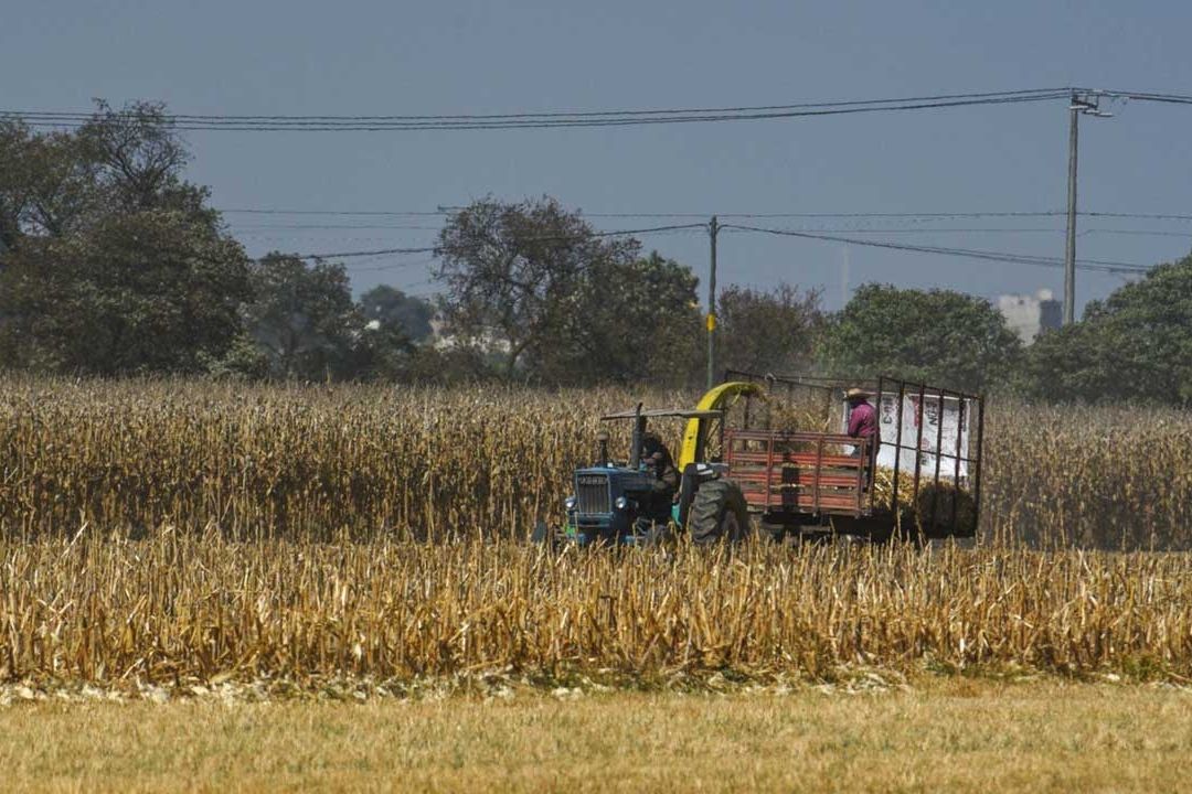 Diputados de Morena aprobaron la extinción de la Financiera Nacional de Desarrollo Agropecuario