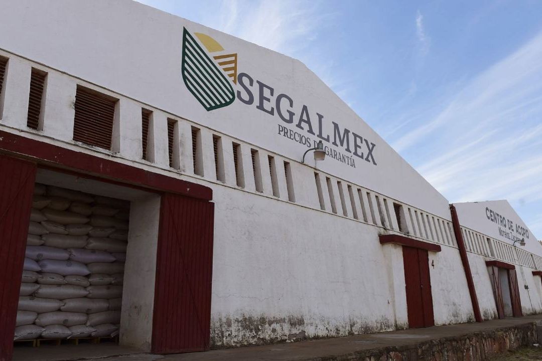 Elementos federales detuvieron a Jesús Óscar “N” exdirector de Administración de Segalmex por su presunta responsabilidad en el desvío de 142 millones de pesos