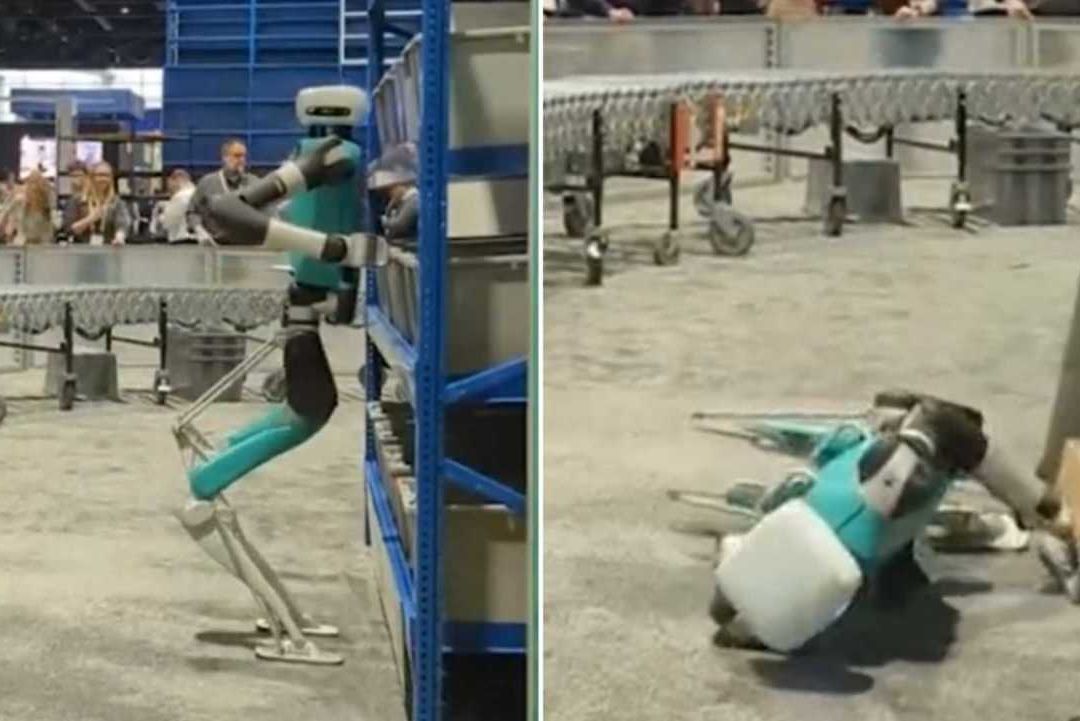 El robot Digit cae durante una presentación en una feria