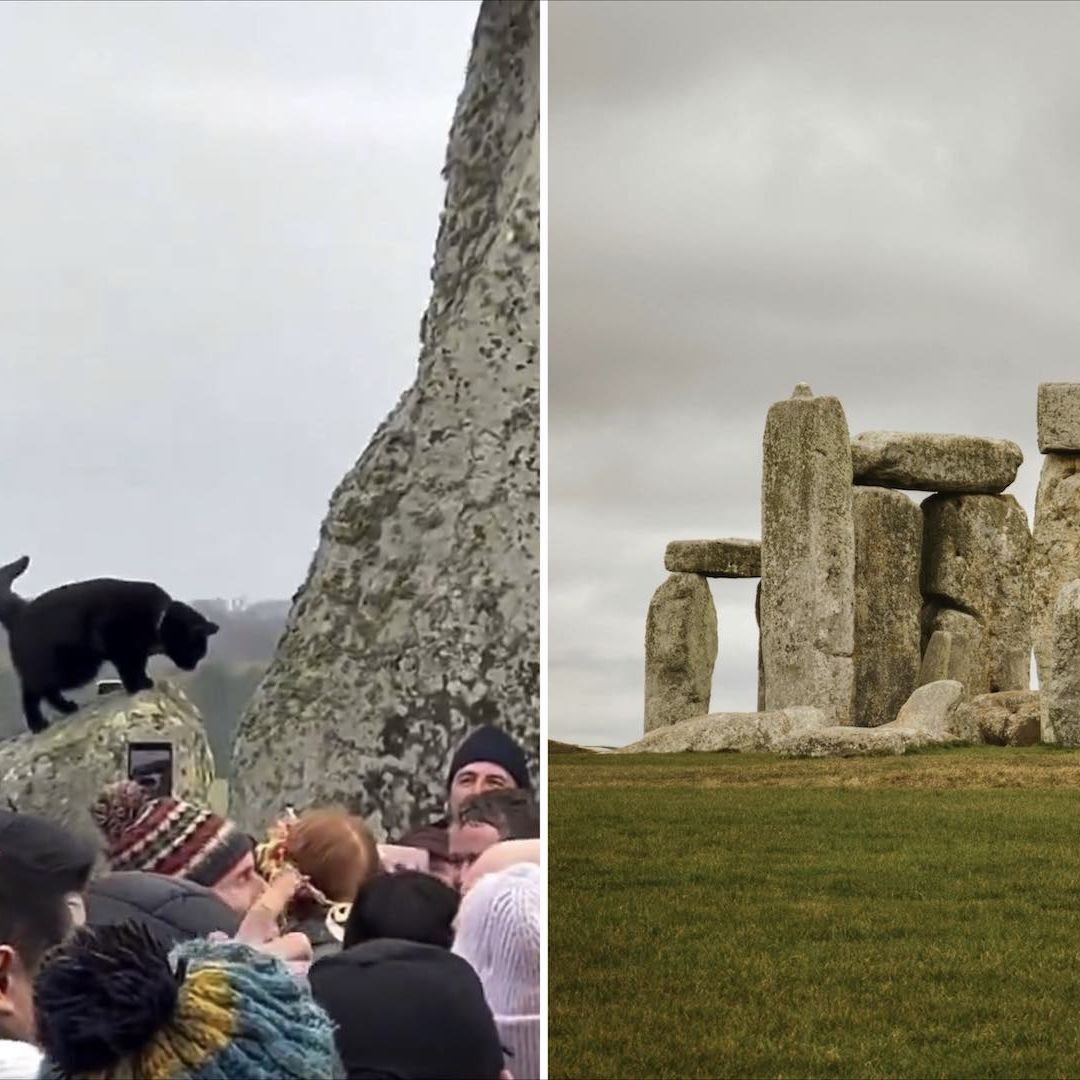 Gato negro se roba celebración del solsticio en Stonehenge