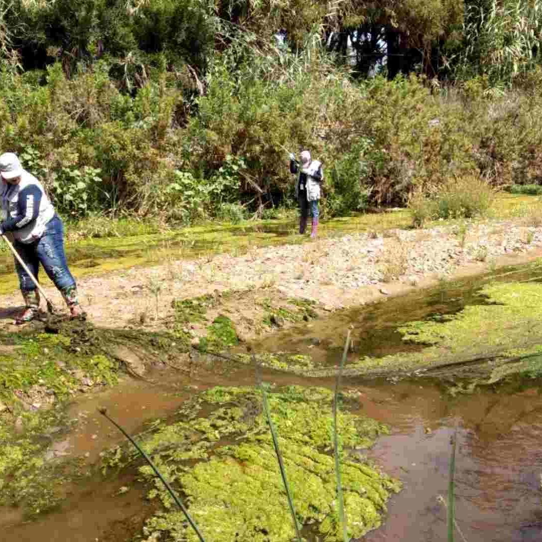 33 Años Sin Malaria en Baja California