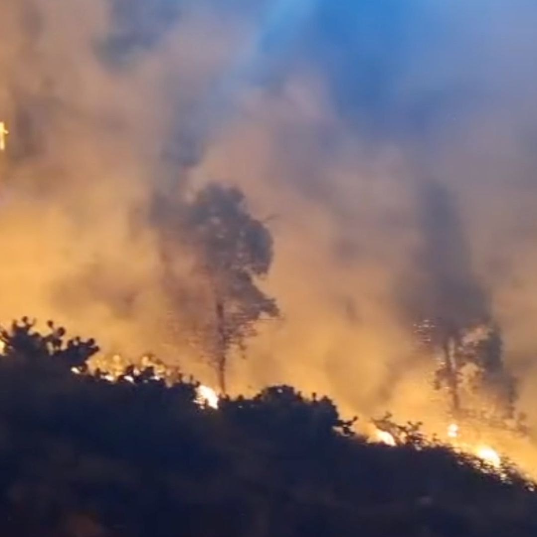 Se registró un incendio en el Cerro de la Bufa, en Zacatecas