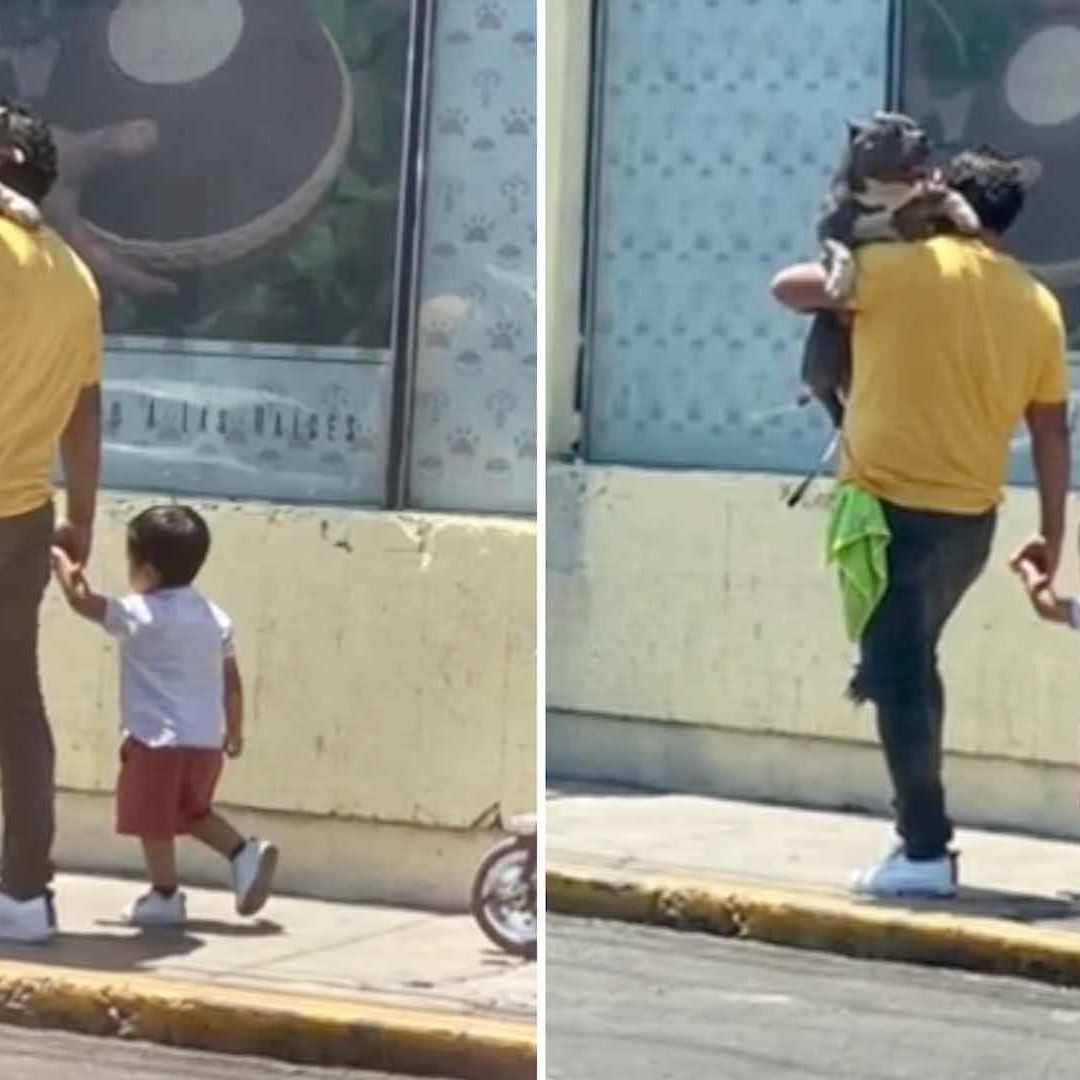 Padre prefirió cargar al perro antes que al hijo