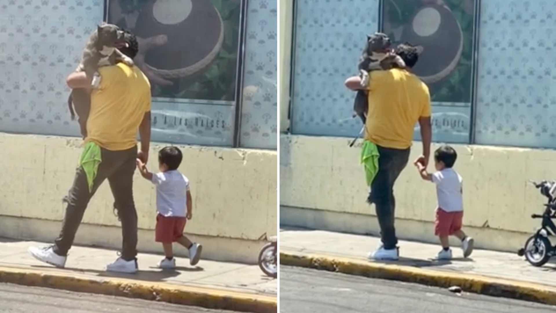 Padre prefirió cargar al perro antes que al hijo