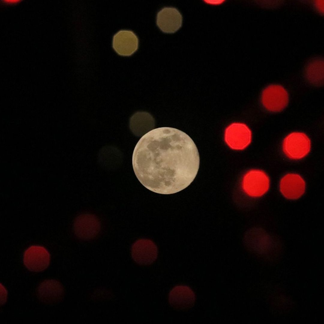 Luna fría del 4 de diciembre 2025