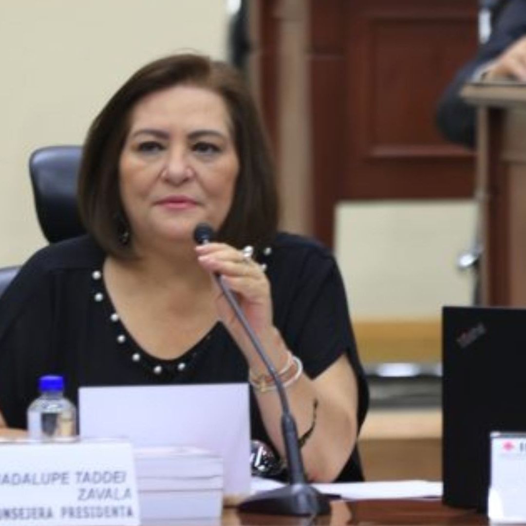 Guadalupe Taddei Zavala, presidenta del INE
