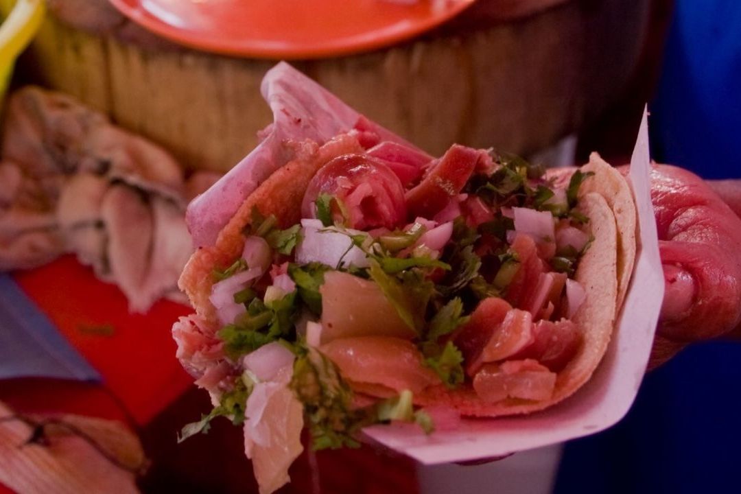 El buche, la nana y el nenepil son partes diferentes del puerco que son usadas en los tacos de carnitas