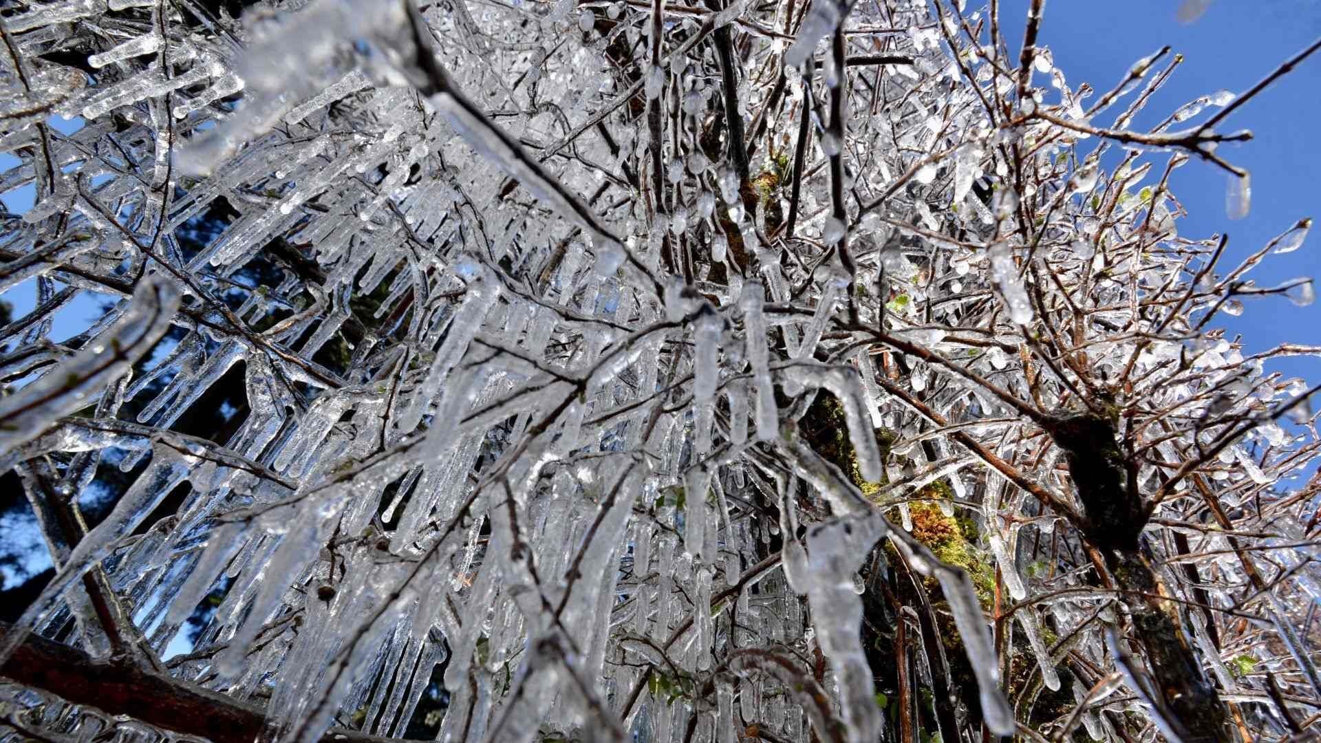 ¿Cuál Será el Clima en Navidad 2025 en CDMX y el Resto del País?
