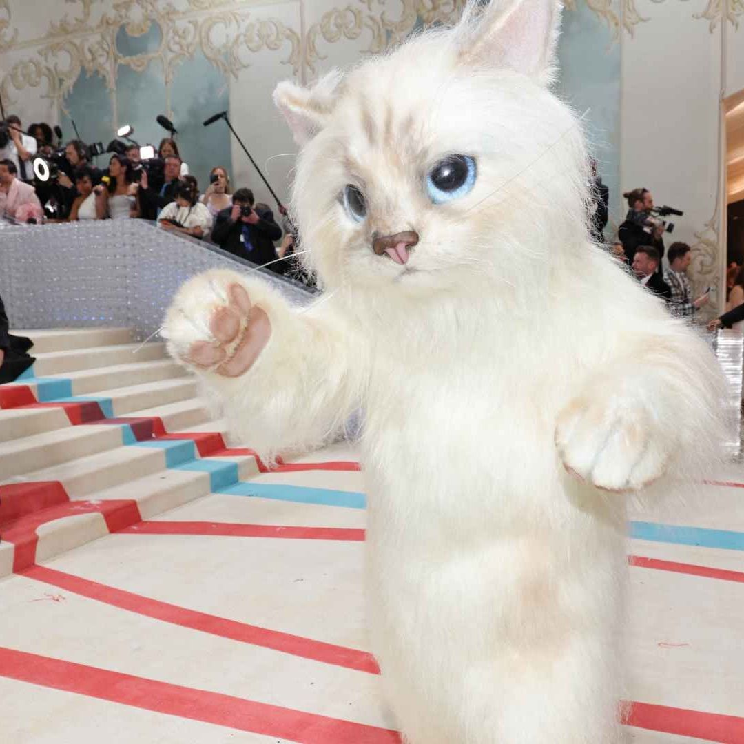 Jared Leto, vestido como la gata Choupette de Karl Lagerfeld, posa en la Met Gala