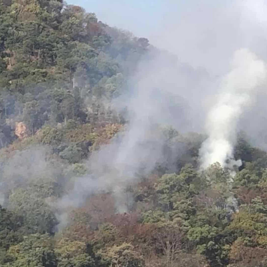 Por Incendios Forestales, Temascaltepec Declara Contingencia Ambiental