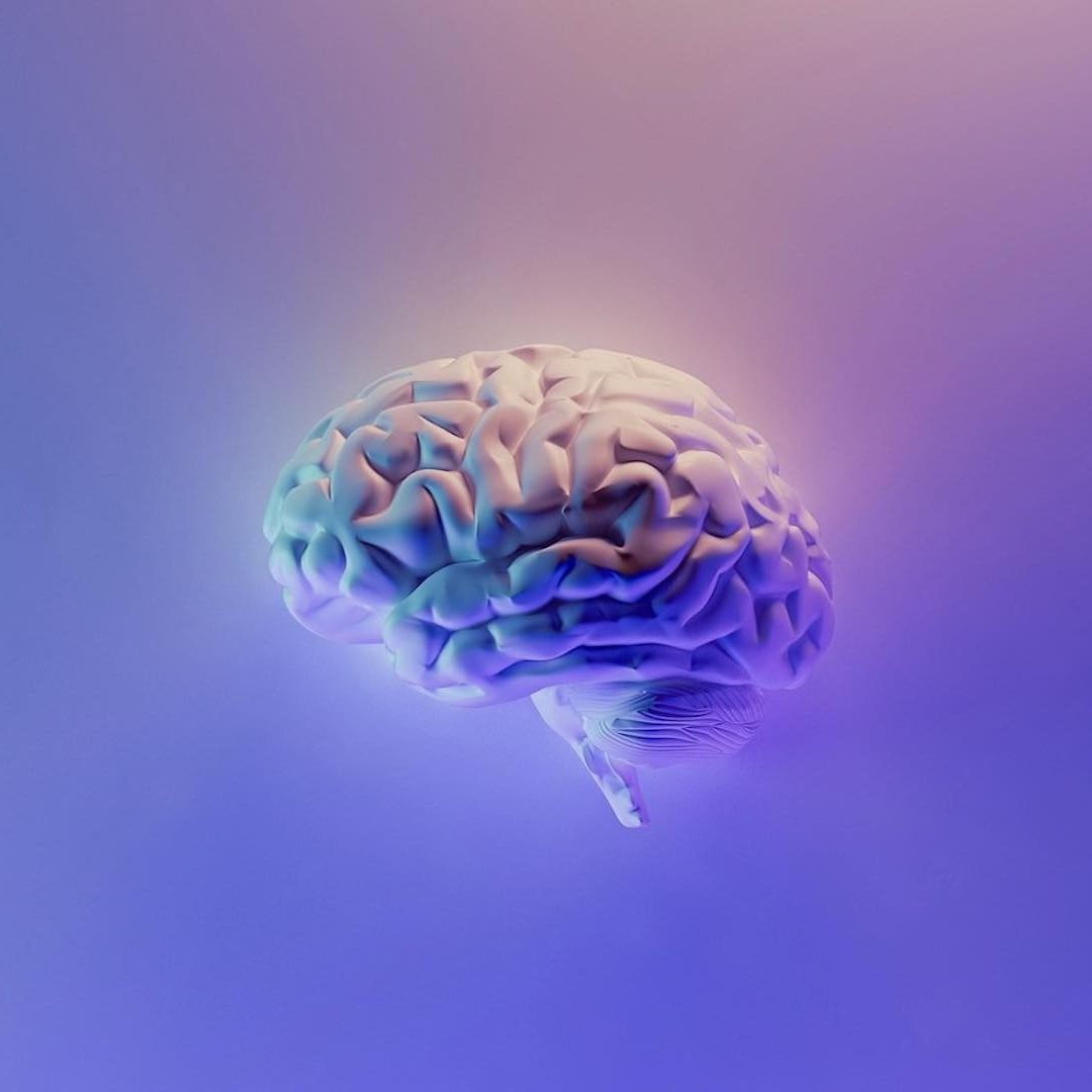 Ilustración del cerebro