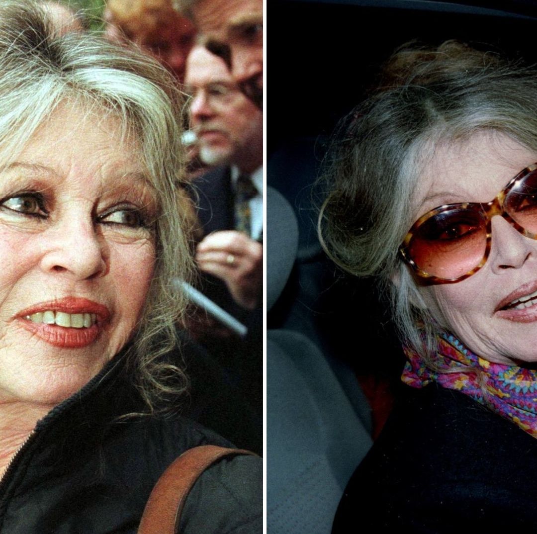 De Qué Murió Brigitte Bardot y a Qué se Dedicaba la Estrella de Cine Francés Antes de Fallecer