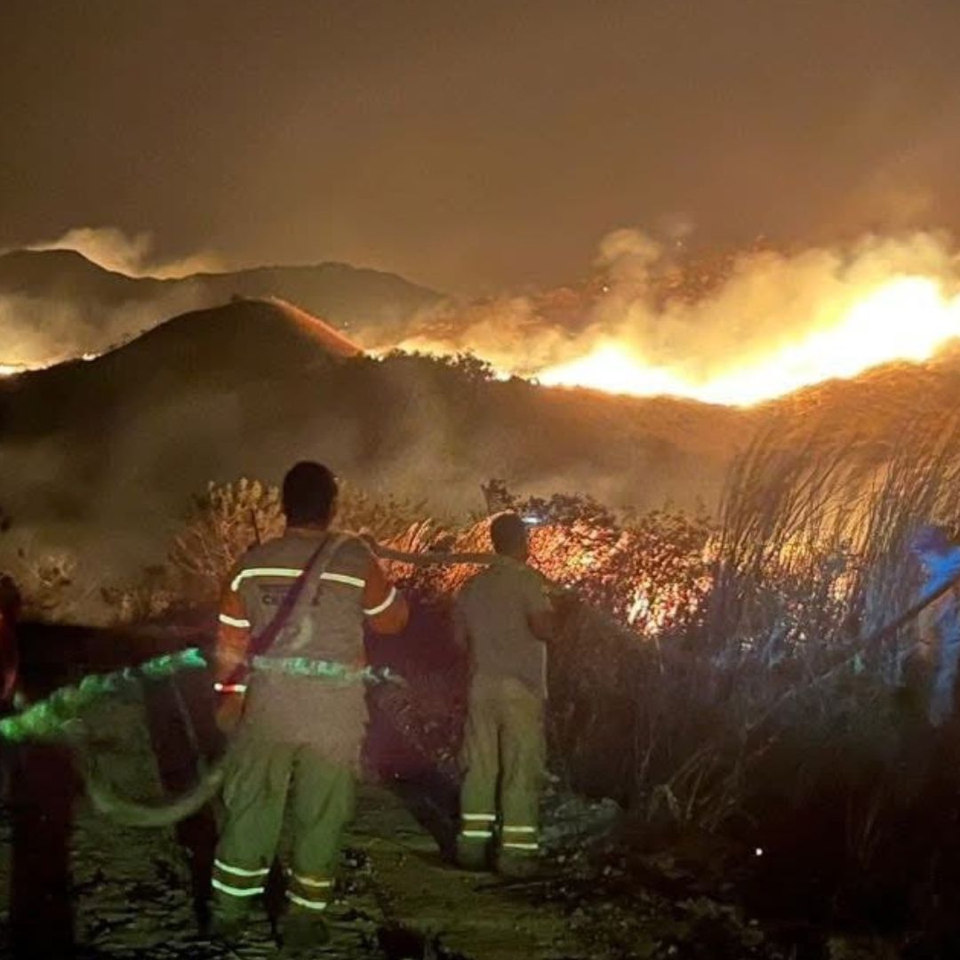 Incendio Consume 380 Hectáreas Forestales de Reserva “La Sepultura” en Chiapas