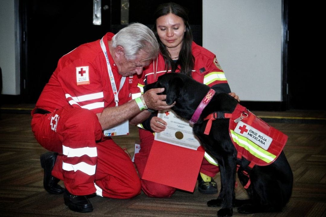 July, perrita rescatista se retira con honores tras 7 años de servicio