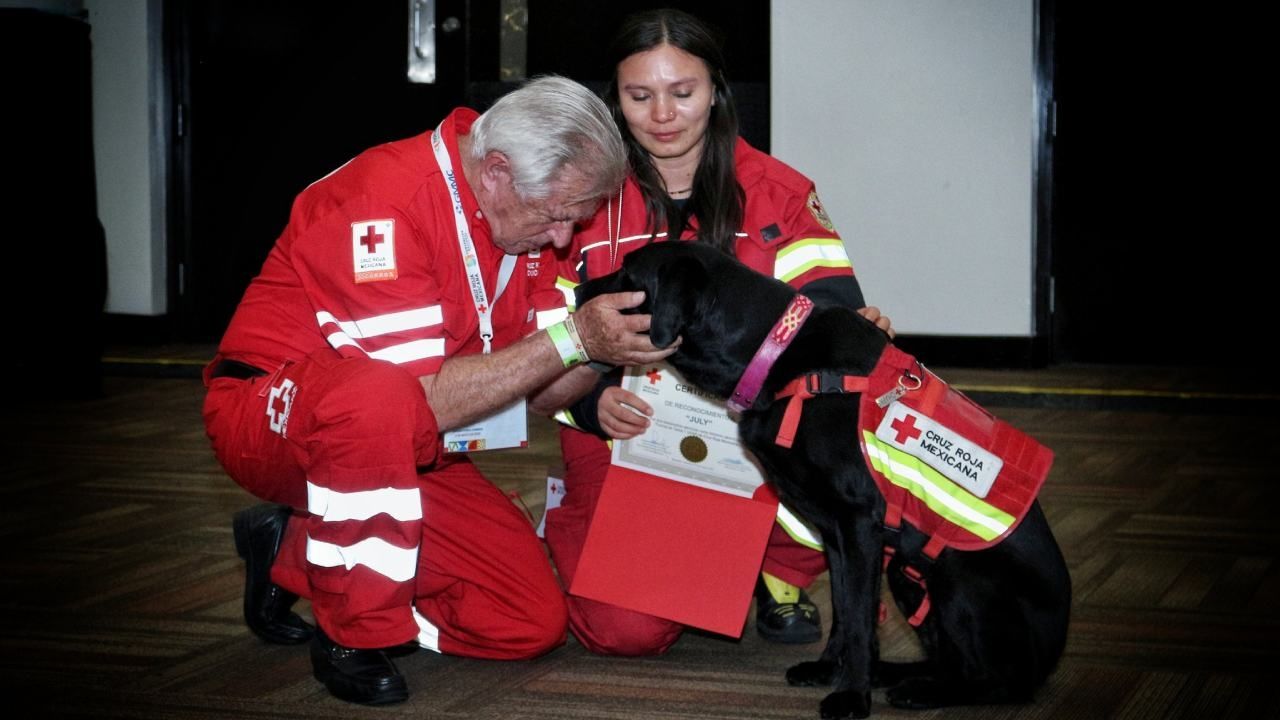 July, perrita rescatista se retira con honores tras 7 años de servicio
