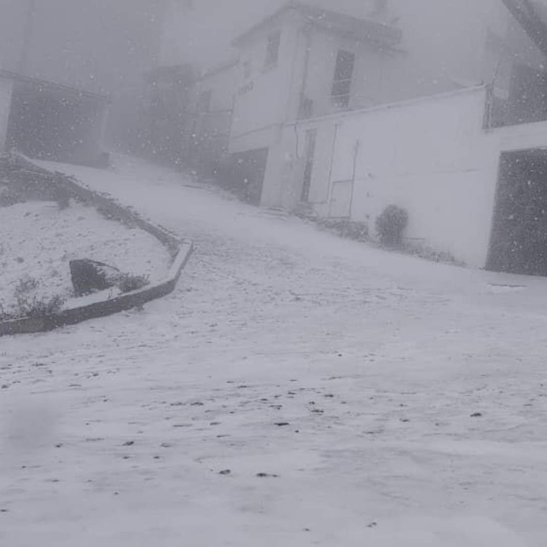 Se Registra la Primera Nevada en el Cofre de Perote Veracruz