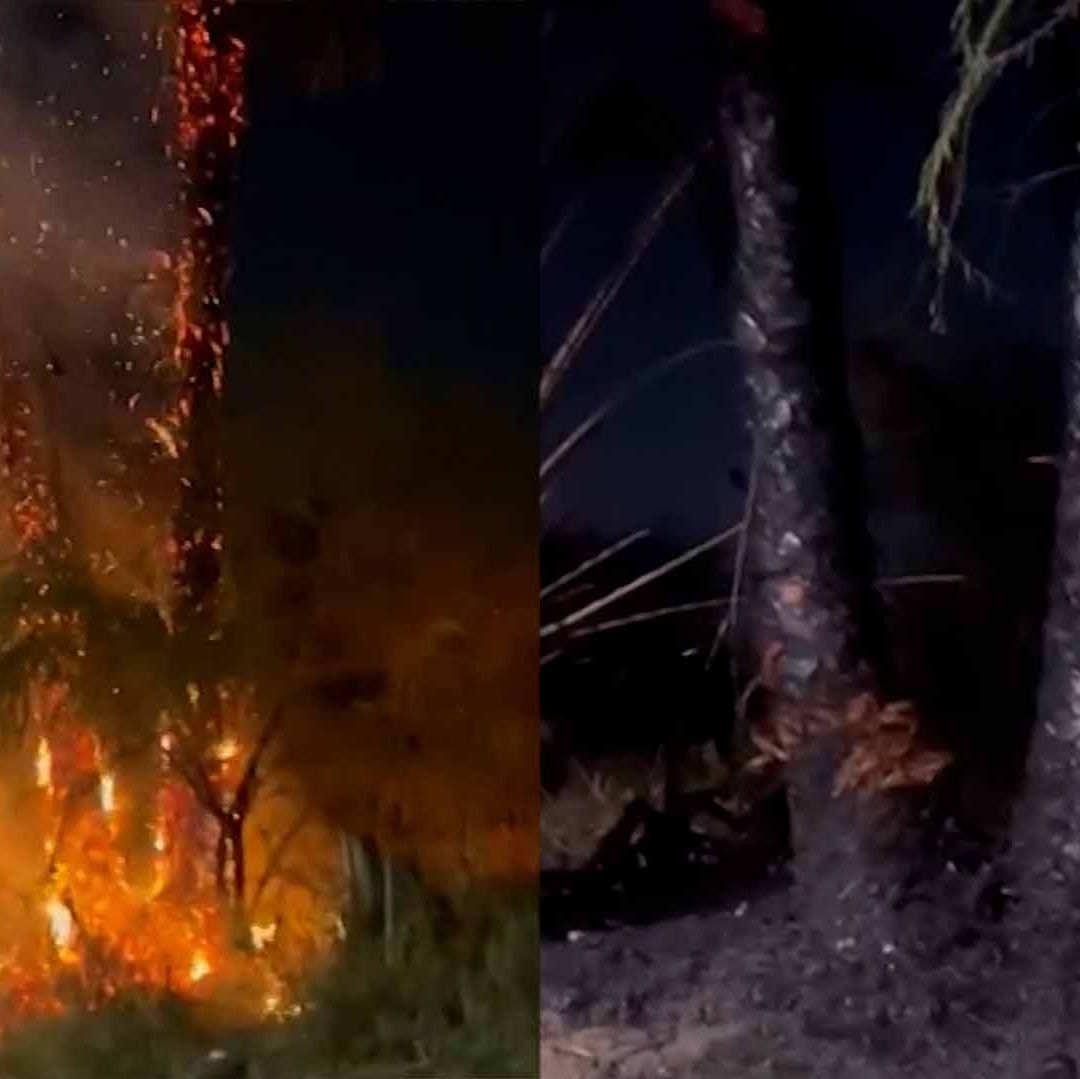 Pirotecnia Provoca Incendios de Maleza en Gómez Palacio Durante Nochebuena